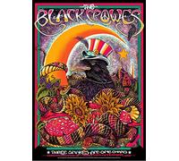 Pixel DemonMG Black Crowes 1 póster retro vintage para concierto de rock A3