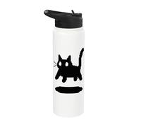 Pixel Y2K 90s Scary Cat Tomcat está asustado Stainless Steel Insulated Water Bottle
