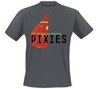 Pixies Head Carrier Hombre Camiseta Gris S, 100% algodón, Regular