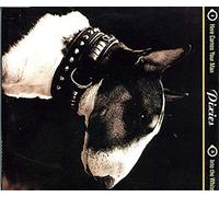 Pixies - Here Comes Your Man