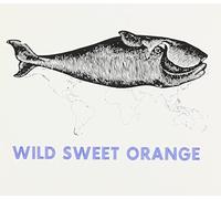 Pixies - LIVE AT VOODOO FEST 04 - PIXI