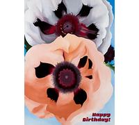 Pixiluv Tarjeta de felicitación de feliz cumpleaños ~ Bonitas flores orientales blancas y naranjas claras ~ Tarjeta de felicitación grande vintage de deseos de cumpleaños