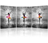 Piy Painting Arte De Pared Bailarinas De Ballet, Los Cuadros Se Imprimen En Lienzo, Lienzo Mariposas, Fácil De Colgar Para El Cuarto De Baño Del Salón, Marco Interior, 3 Piezas 58x40cm (58x120 cm)