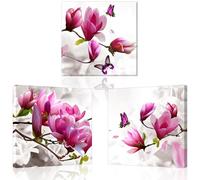 PIY PAINTING Arte Mural En Lienzo, Orchid Flowers Cuadro Artístico, Pintura Para Lienzos De Flores, Impresión Artística Para Cuarto De Baño Sala De Estar Despacho Dormitorio Cocina, 3 Piezas 58 X58 cm