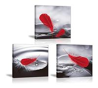 Piy Painting Cuadro sobre Lienzo, Plumas Rojas, Lienzo Gi de Pared Art Imagen para Decoración, 3 Piezas Fotos Impresión Cuadro sobre Lienzo Regalo del Festival, 30x30cm