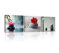 Piy Painting Set De 3 Calmante Lienzos Decorativos, Naturaleza Cuadros Decoracion Salon, Imagen De Lienzo, Cuadros Para Dormitorios Cuarto De Baño Cocina Comedor 30x30 cm