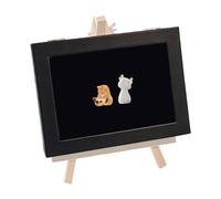 Pizarra para insignias - Organizador de vitrina con soporte compacto duradero con cubierta transparente, diseño estable | Práctico almacenamiento y vitrina para alfileres de solapa, broches, medallas