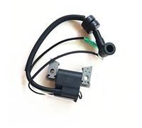 Pizgear Bobina de Encendido del Motor de Barco, for Parsun, Conjunto de bobinado de Encendido del Motor fueraborda F4 F5 BM de 4 Tiempos F4-04000038 Interruptor de Encendido Marino