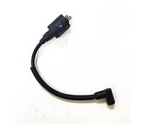 Pizgear Bobina de Encendido for Motor de Barco, for HIDEA, Motor fueraborda de 2 Tiempos, 2,5 HP, 2,5F, T2,5, 2,5F-01.03.01.00 Interruptor de Encendido Marino