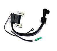 Pizgear Conjunto de Bobina de Encendido con CDI for Motor de Barco Yamaha, F4L, F4B, F4S, F5A, F6L, F6S, F6C, 4 Tiempos, 6BX-85571-00 Interruptor de Encendido Marino
