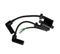Pizgear Conjunto de Bobina de Encendido for Yamaha, Motor fueraborda T9. 9 F9. 9 F15 66M-85570-00 Interruptor de Encendido Marino