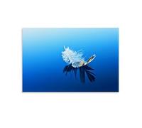 PIZKEEP An Inspirational Life Poster Featuring Featuring Feathers Floating on A Lake. Póster de 30 x 45 cm