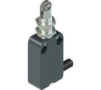 Pizzato Elettrica NF B110FB-DN2 - Interruptor de fin de carrera (250 V/AC 4 A, empujador de rodillos de refuerzo IP67, 1 pc(s)