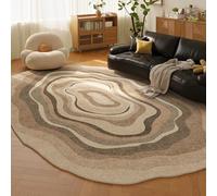 PIZZZENO Alfombras de Estilo Retro para Dormitorio, Formas Irregulares, decoración de Sala de Estar, Alfombra Gruesa de Felpa, Alfombra de Suelo, Suave y esponjosa, para Estudio, b, 100 x 160 cm