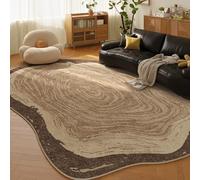 PIZZZENO Alfombras de Estilo Retro para Dormitorio, Formas Irregulares, decoración de Sala de Estar, Alfombra Gruesa de Felpa, Alfombra de Suelo, Suave y esponjosa, Estudio, G, 100 x 160 cm