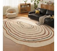 PIZZZENO Alfombras de Estilo Retro para Dormitorio, Formas Irregulares, decoración de Sala de Estar, Alfombra Gruesa de Felpa, Alfombra de Suelo, Suave y esponjosa, para Estudio, T, 100 x 160 cm