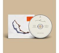 PJ Harvey - I Inside the Old Year Dying