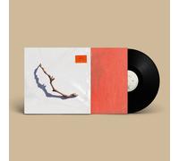 PJ Harvey I Inside the Old Year Dying (Vinyl) 12" Album (Importación USA)