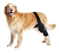 PJDDP Estrátido para La Pierna del Perro, Abrazadera para La Pierna del Perro para La Displasia De La Cadera, Soporte De Abrazadera Trasera Trasera con Lesión del Ligamento Cruzado,M
