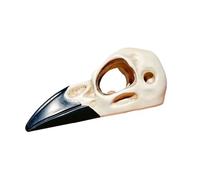 Pjeghbvop Resinas decorativas de hábitat de cráneo de aves naturalistas para reptiles y anfibios que habitan árboles, reptiles naturales simulados escondites para mascotas