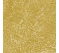 PJEV/Kit Downes/Hayden Chisholm Medna Roso (CD) Album (Importación USA)