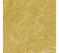 PJEV / Kit Downes / Hayden Chishom – Medna Roso – CD (Importación USA)