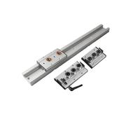 PJFSQAD Riel guía lineal de doble eje, 1/2 piezas SGR10, 100-950 mm, deslizador bloqueo alta velocidad SGB10 for(2PCS SGR10 SGB3,550mm)