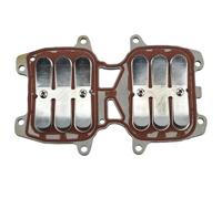 PJFXUIZ Admisión de Motor fueraborda para Yamaha 2 Tiempos 40 HP 66T-13610-00 Conjunto láminas
