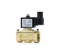 PJVPEJOD 1/4 quot; 3/8 quot; 1/2 quot; 3/4 quot; 1quot; Válvula Solenoide eléctrica DN8/10/15/20/25/32 Normalmente Cerrada IP65 for Agua Aceite Aire 12V 24V 220V 110V 1 Uds(DC24V,DN25)