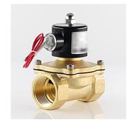 PJVPEJOD AC 220V,DC 12V 24V válvula solenoide eléctrica Normalmente Cerrada válvula neumática for Agua Aceite Aire DN10 DN15 DN20 DN25 DN32 DN40 DN50(Dn10,24V)