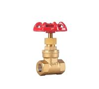 PKNVKZIDK 1/4" Brass Gate Valve Switch Valve Water Valve Internal Thread Steam Valve
