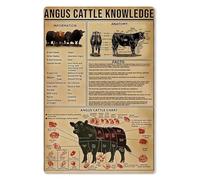 PKNVKZIDK Black Angus Cattle Anatomy Educational Poster | Detailed Vintage Chart of Breed Characteristics & Structure | Farm, Ranch or Veterinary School Wall Art Unframed,16x24inch(40x60cm)