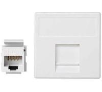 Simon K96U/9 - Pl K45 V&D Plana C/Guardap Con 1 Conector Cat6 Utp