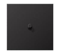 Placa 1x1 pal. cilindro LS1912 dark (referencia: JUNG AL12-0DR01)