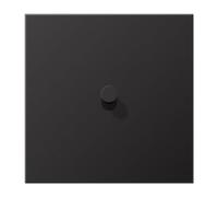 Placa 1x1 pal. cono 1912 dark (referencia: JUNG AL12-0DK01)
