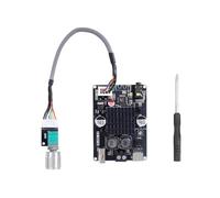 Placa Amplificadora de 100 W TPA3116, Amplificador de Audio Mono para Altavoces DIY, Audio para Coche, Sistema de Sonido Doméstico