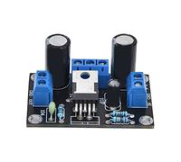 Placa Amplificadora, Módulo Compacto, PCB 1.6mm - Operación Estable y Baja Interferencia, Sonido Claro para Uso Potente