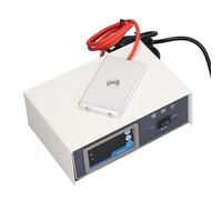 Placa Calefactora para Microscopio, Etapa Caliente para Microscopio, Control Estable de 75 W, Temperatura Constante de Alta Precisión para Laboratorio (Enchufe europeo 220V)