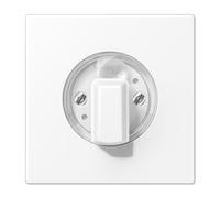 Placa central botón de mando LS, color blanco mate (referencia: JUNG LS1941WWM)