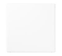 Placa Ciega Blanco Alpino Jung LS990