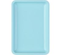 Placa de acero inoxidable para equipo de arte para uñas, bandeja de joyería para uñas postizas, herramienta cosmética organizada para salón y uso doméstico