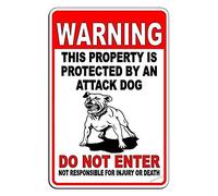 Placa de advertencia para decoración de pared con texto en inglés "Care Dog Property Protected by Attack Dog Do Not Enter Chic", sin óxido, letrero de metal para patio, oficina al aire libre