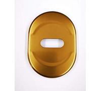 Placa de aluminio con agujero doble mapa color bruñido F4 - Placa para puerta blindada-tachuelas ATRA-DIERRE-(mm.h.86x62) completa con subplaca e inserciones clave.Compatible con otras marcas de