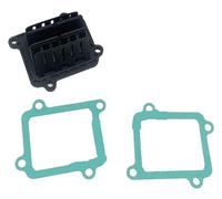 Placa de Bloque de Válvula de Lengüeta Válvula De Lengüeta De Motocicleta Para Placa De Admisión De Carburador Compatible Con Yamaha YZ125