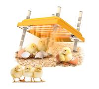 Placa de calor para pollitos de 25 x 25 cm, con ajuste de temperatura, placa de calor de pollitos con altura ajustable, placa de calentamiento para pollitos y patos, calienta hasta 15 pollitos