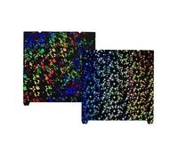 Placa de construcción PEI de 310 x 315 mm for K1C/K1/K1 MAX/Ender3 V3 KE/235 x 235 mm for Ender 3 V3 SE/Ender 3 S1 PRO/Ender-5 S1(PEF,235X235MM)