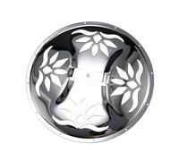 Placa de cubierta de guitarra perforada de metal de instalación rápida y resistente a la corrosión para actuaciones en vivo para guitarra resofónica