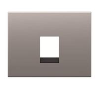 Placa de cubierta para tomas de teléfono o datos, tipo 8417, 31,3 x 15,2 x 5,5 centímetros, color acero pulido (referencia: 8417 AL)