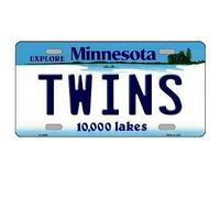 Placa de matrícula de metal con fondo del estado de Minnesota Twins de Minnesota, 6 x 12 pulgadas