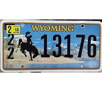 Placa de matrícula del estado de Wyoming, 15 x 30 cm